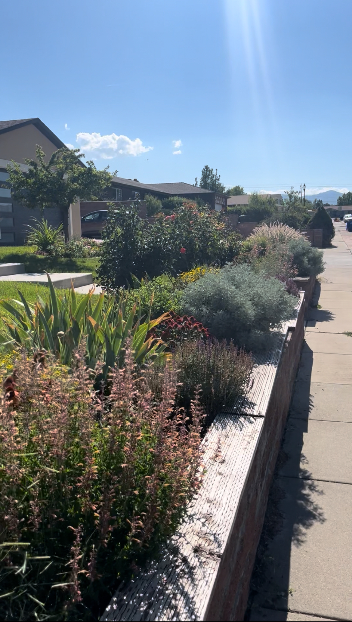 Neat garden bed with fresh mulch